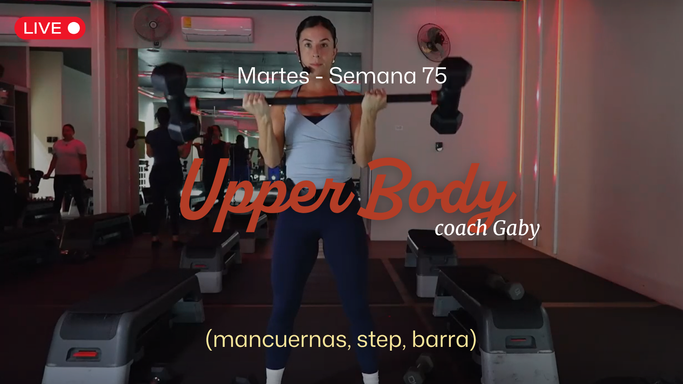 Martes: Upper body